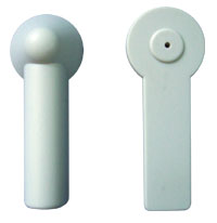 Large / Small Pencile / Small Am Eas Hard Tag For Sale