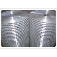 Galvanized Welded Wire Mesh, For Animal , Plant, Poultry House, Construction, Building