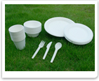 100% Biodegradable Tableware, Sugarcane Tableware