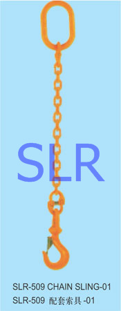 Sell Chain Sling, All Kind Of Rigging, G100 Rigging