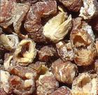 phyllanthus emblica extract