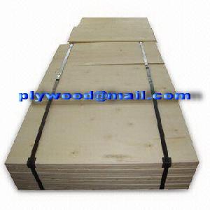 Birch Plywood Factory In Shandong Of China