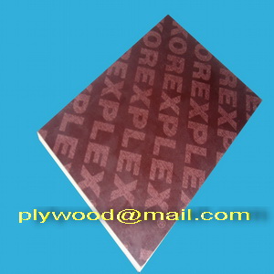 Chinese Construction Plywood With Brown Film Faced From Derdon Chen