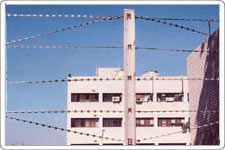 Barbed Wire Fence System Over The Wall