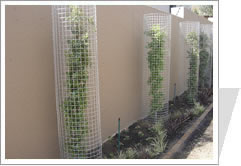 Tree, Flower Protector, Welded Wire Fabric For Sale