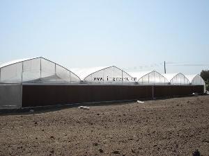 Wl8132 Greenhouse For Planting