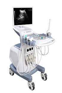 Ss-2000 Color Doppler Ultrasound Imaging Systems Scanner