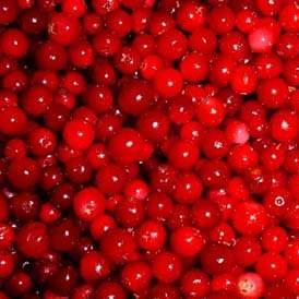 lingonberry