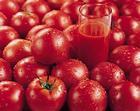 lycopene tomato