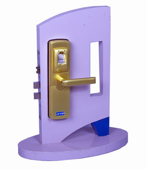 Fingerprint Lock, Keypad Lock, Electronic Lock