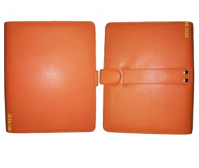 Ipad Case Orange