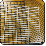 Cage Mesh