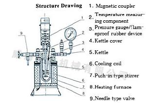 High Pressure Reactor