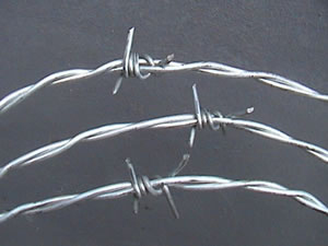 Galvanized Barbed Iron Steel Wire For Sale