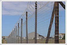 razor barbed wire fencing