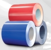 Prepainted Steel Coil For Sale