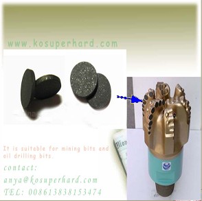 Polycrystalline Diamond-pcd For Drilling Oil Bits