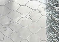 hexagonal wire netting