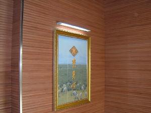 wood plastic composite wall building