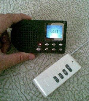 Bird Mp3 Player