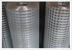Sell Welded Wire Mesh