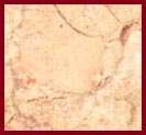 tropical rose marble
