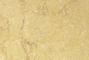 sunny dark marble
