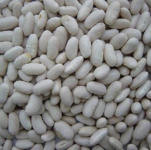 White Kidney Beans, Baishake Type For Export