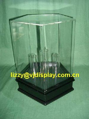 Acrylic Collectible Display Case