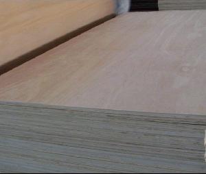 Produce And Export Chinese Agathis Plywood