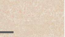 Tiles, Ceramic Tiles,