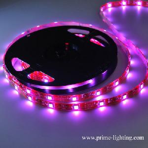 Color Chaning Rgb Smd5050 Led Strips / Lights / Lighting, Dc12v, 7 Colors, Led Strip Factory In Chin