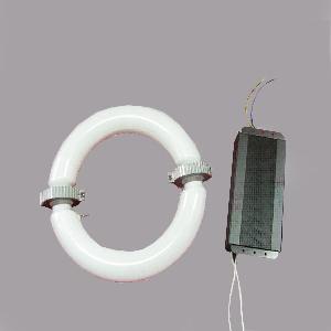 Sell Electrodeless Induction Lamp Lighting Source Or With Fixture