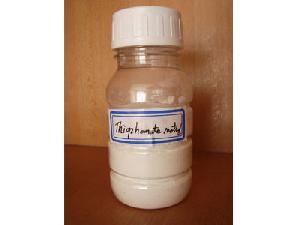 Fungicides-thiophanate Methyl