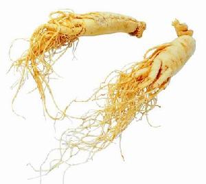 ginseng extract