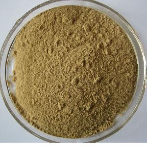 Notoginseng Leaf Extract