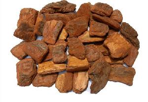 Pine Bark Extract