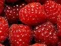 Raspberry Extract