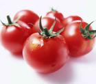 Tomato Extract