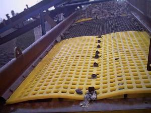 Sell Filter Screen
