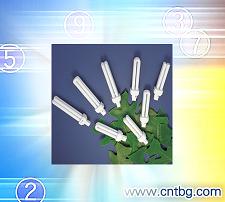 Pl C Double Quad Compacts Fluorescent Lamps