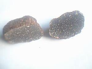 Sell Black Truffle Fresh Dried Frozen