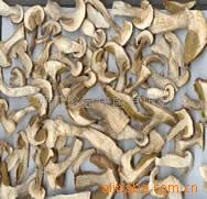 Sell Dried Boletus Edulis Slices