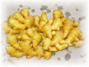 ginger extract powder