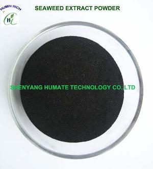 seaweed extract flake powder fertilizer