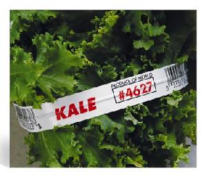 Sell Vegetables' Tie