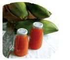 Sell Red / Yellow Papaya Pulp