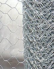 hexagonal wire mesh