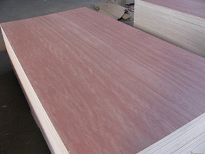 export bintangor plywood