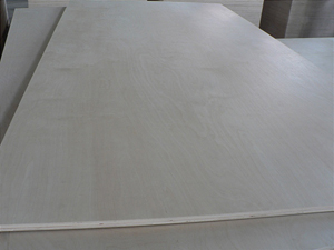 export birch plywood